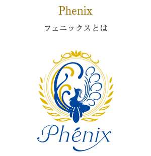 about_phoenix_btn