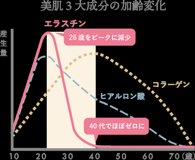 image6.png